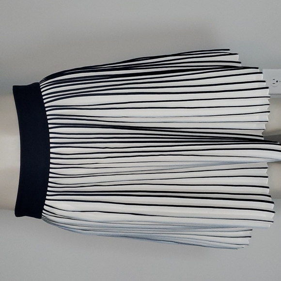 J. Crew Dresses & Skirts - J. Crew off white/navy blue pleated skirt-2